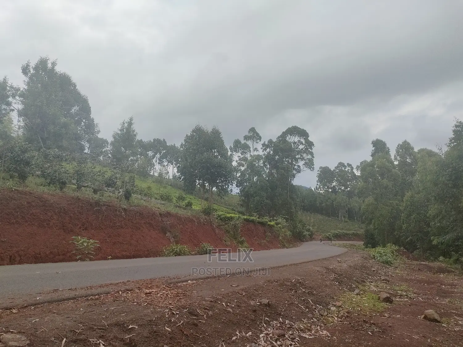 3 Acres Othaya/Kianganda