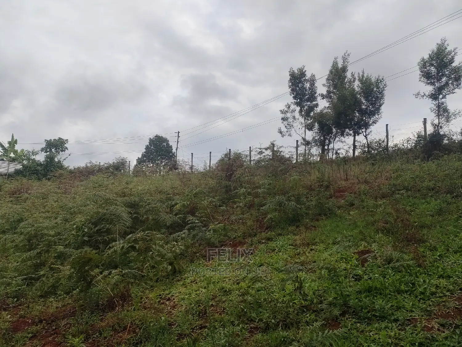 2 Acres Othaya/Witima Touching Tarmac.