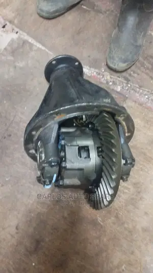 Back Differential Landcruiser 75