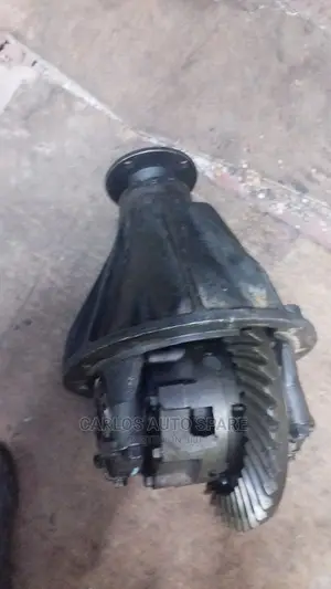Back Differential Landcruiser 75