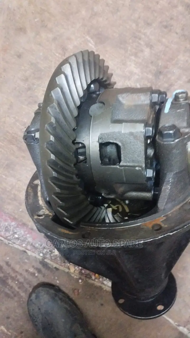 Back Differential Landcruiser 75