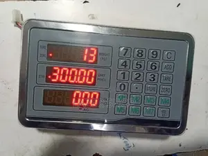 Digital Scale Displays