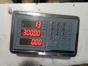 Digital Scale Displays