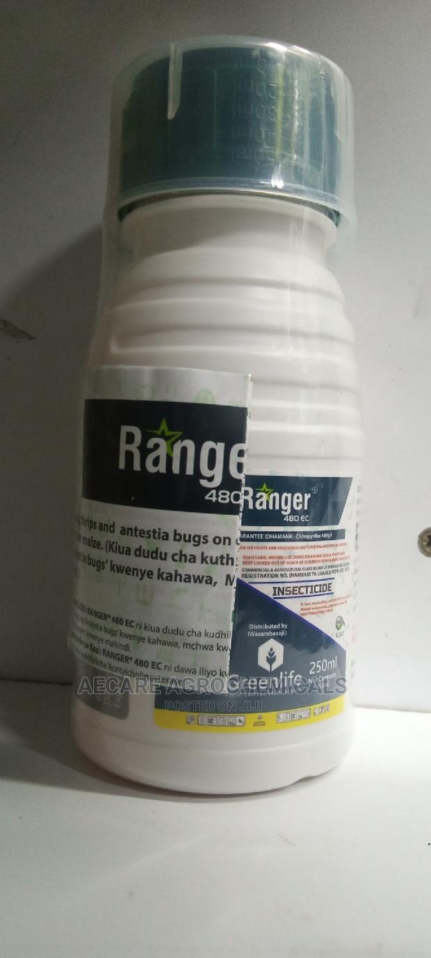 Ranger 480ec Insecticide 250ml - thumbnail 2