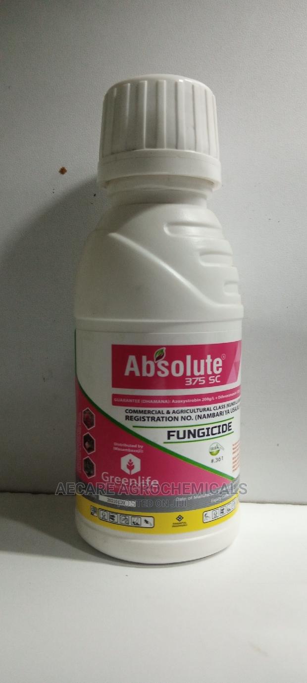 Absolute 375sc Fungicide 100ml - thumbnail 2