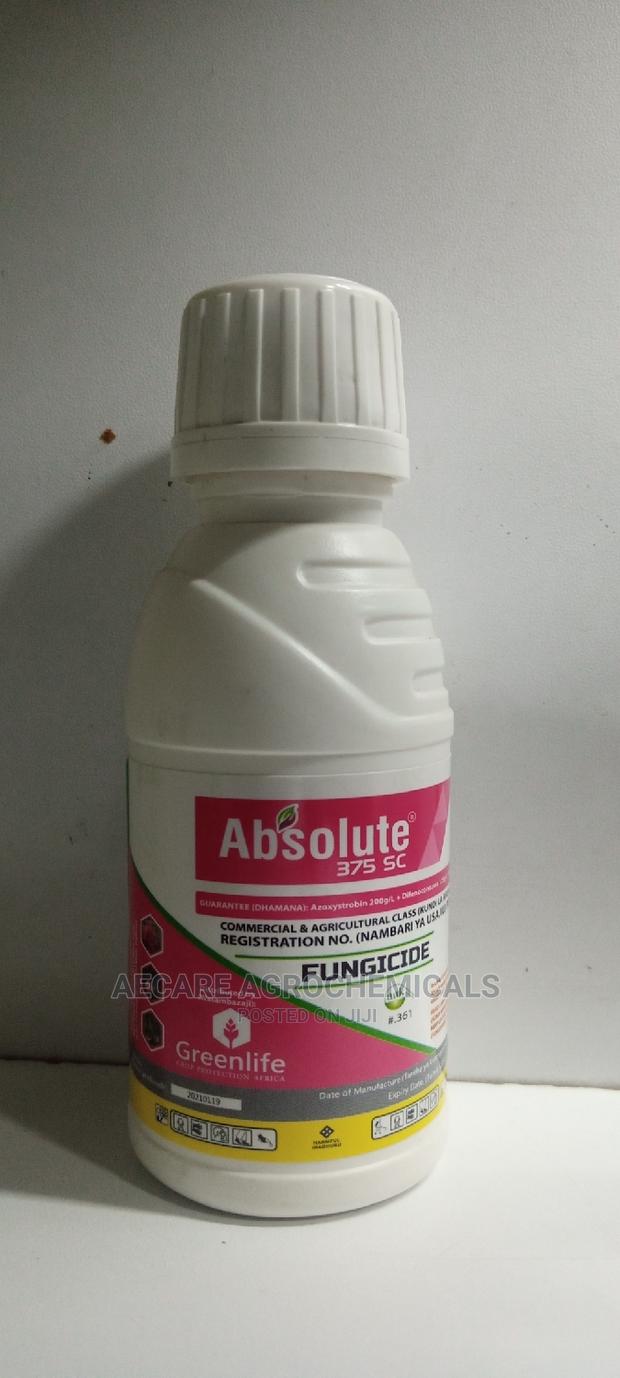 Absolute 375sc Fungicide 100ml - main view