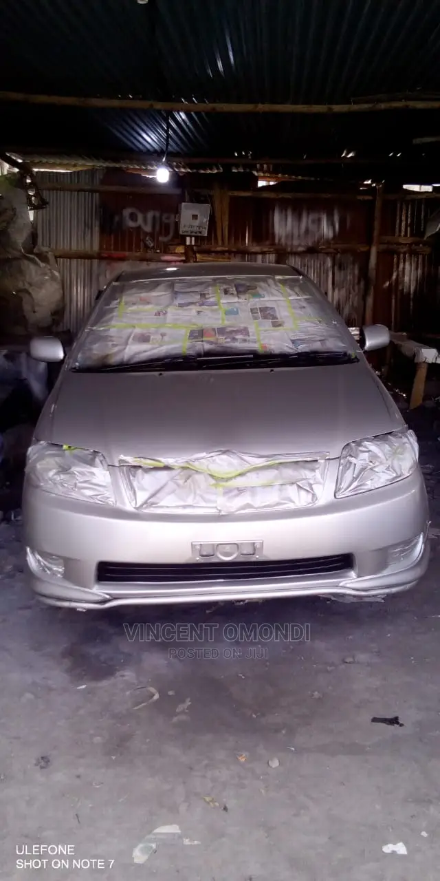 Spray Painting Services in Umoja