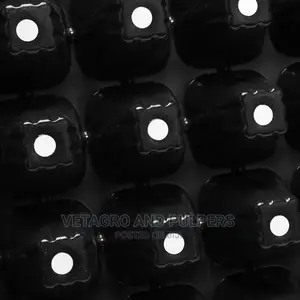 Seedling Tray Starter Germination Plant Propagation