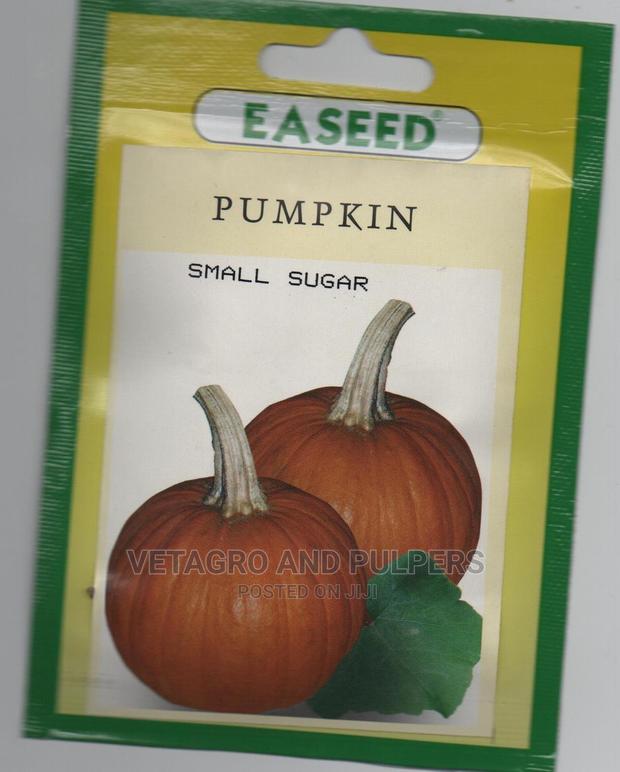 Easeed Pumpkin Small Sugar - main view