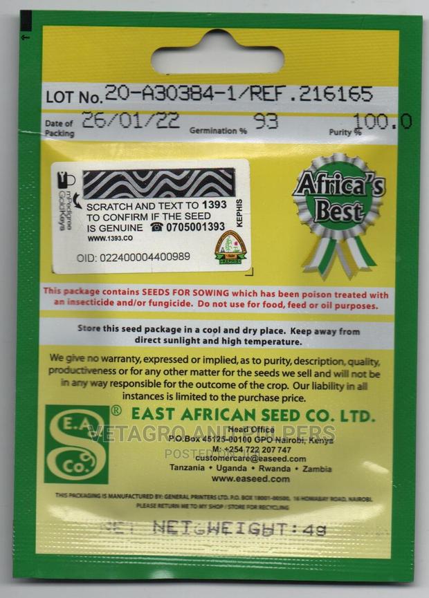 Easeed Pumpkin Small Sugar - thumbnail 3