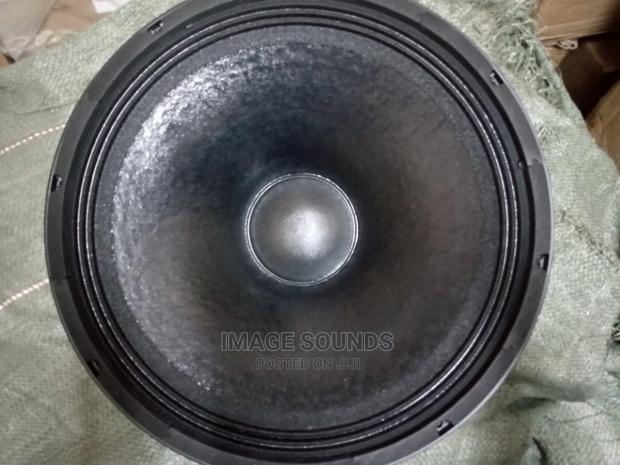 Naked Speaker Derwel H25