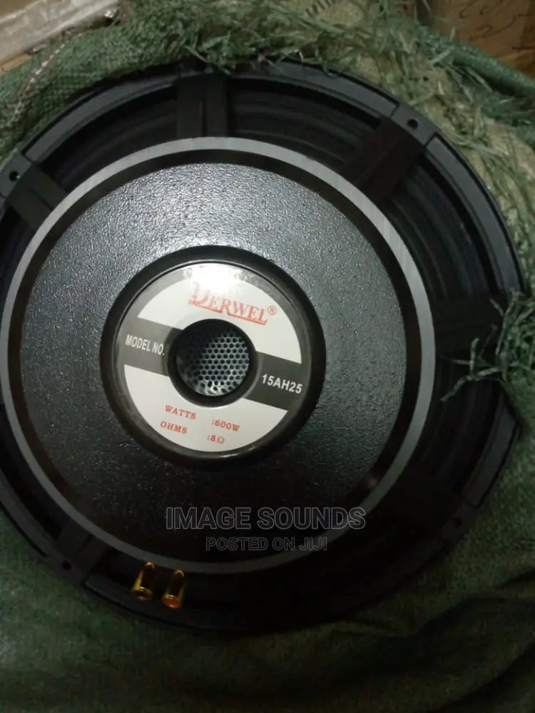 Mi-Range Speaker Derwle H75
