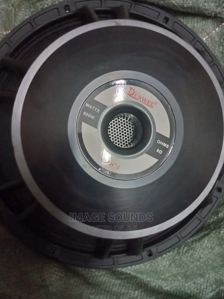 Naked Speaker Derwel H25