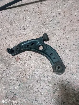Passo Control Arm