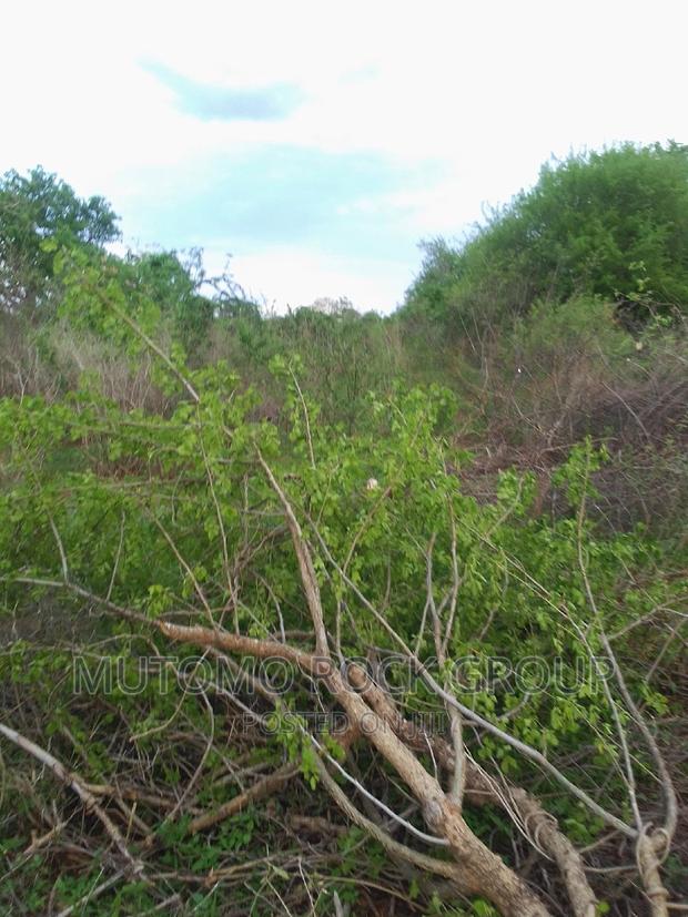 160acres for Sale - main view