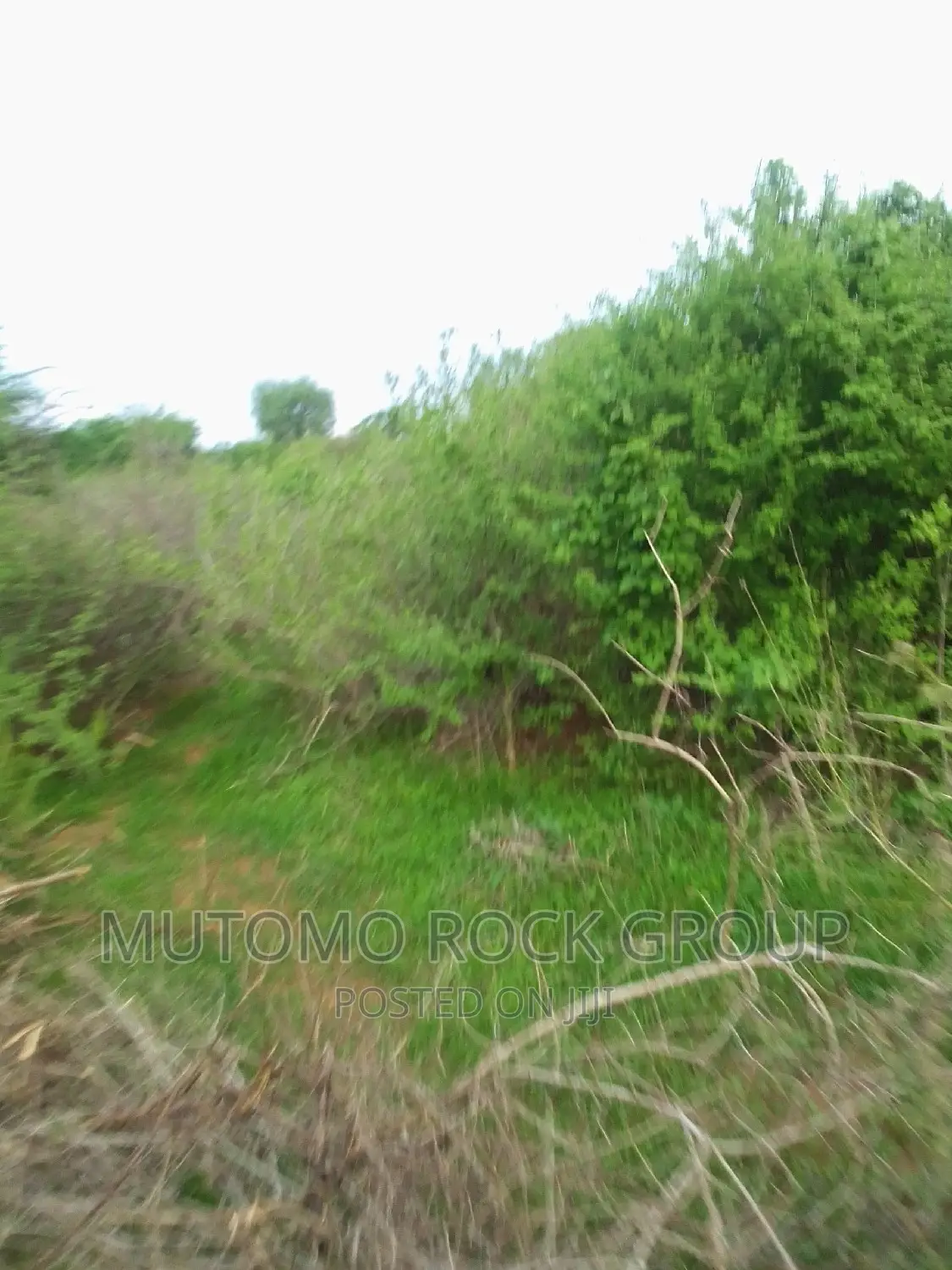 160acres for Sale