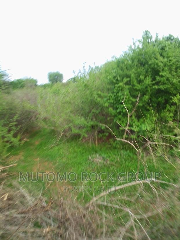 160acres for Sale - thumbnail 4