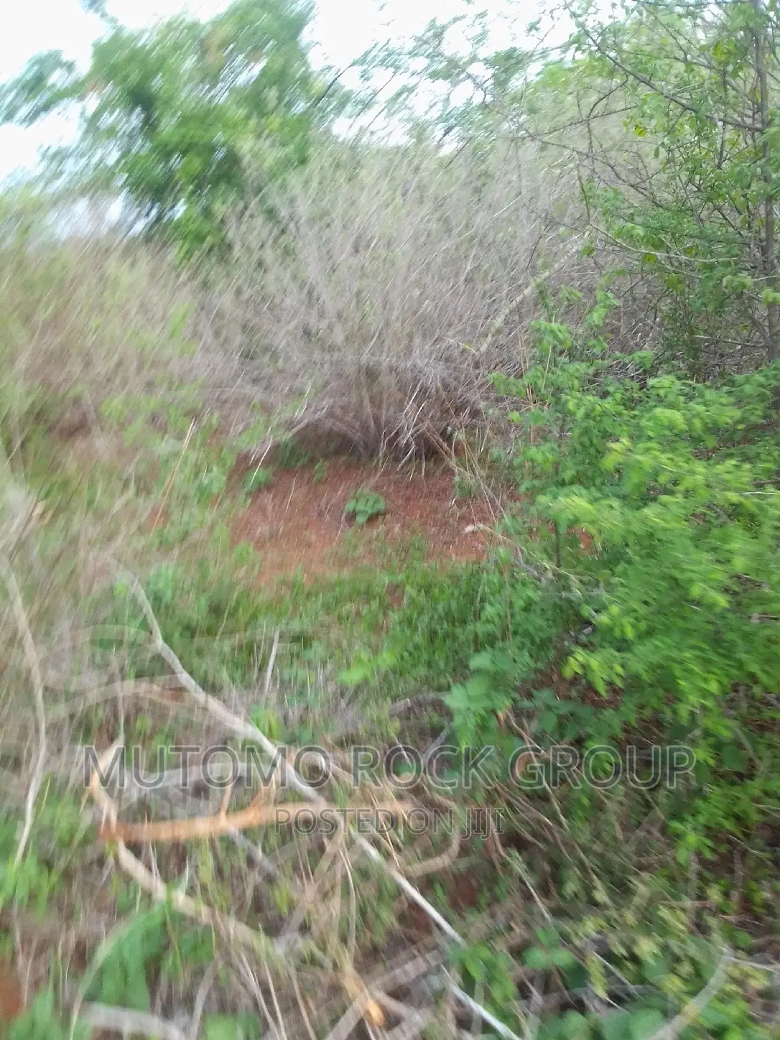160acres for Sale
