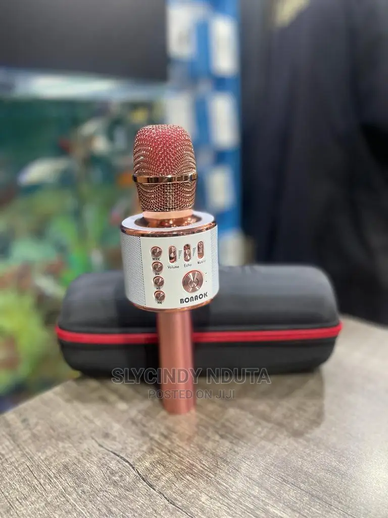 Bonaok Singing Microphone