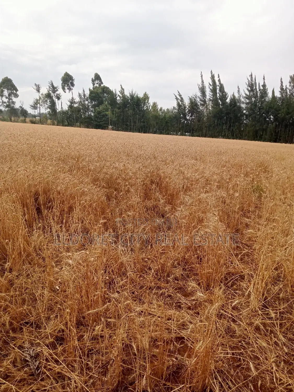 5 Acres Ilula With Title Arable