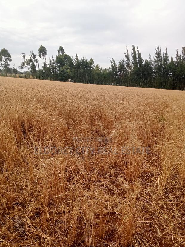 5 Acres Ilula With Title Arable - thumbnail 2