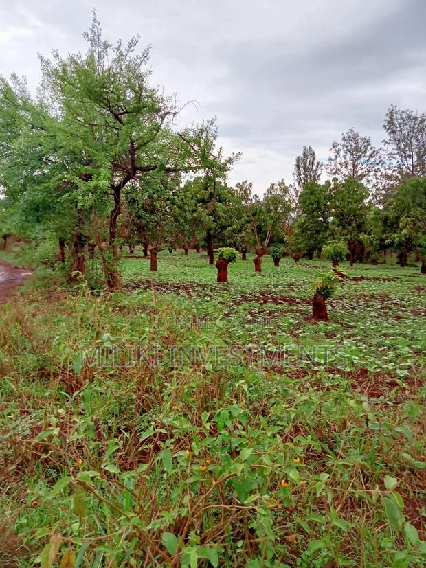 4 Acres on Sale at Mbombo - main view