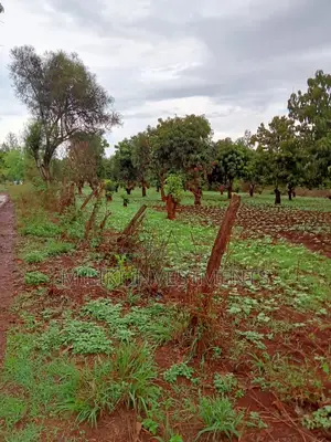 4 Acres on Sale at Mbombo
