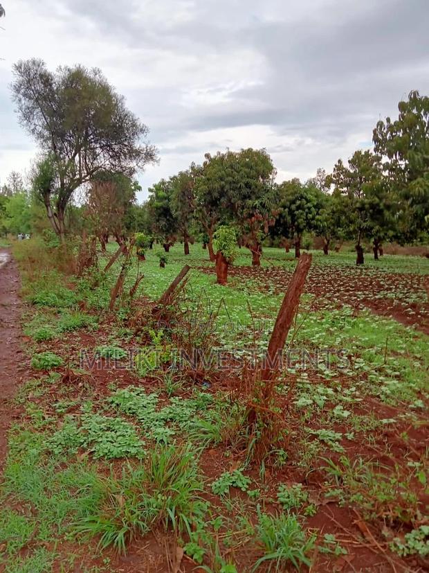 4 Acres on Sale at Mbombo - thumbnail 4