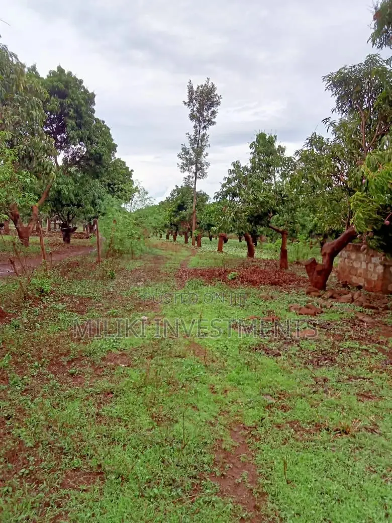 4 Acres on Sale at Mbombo