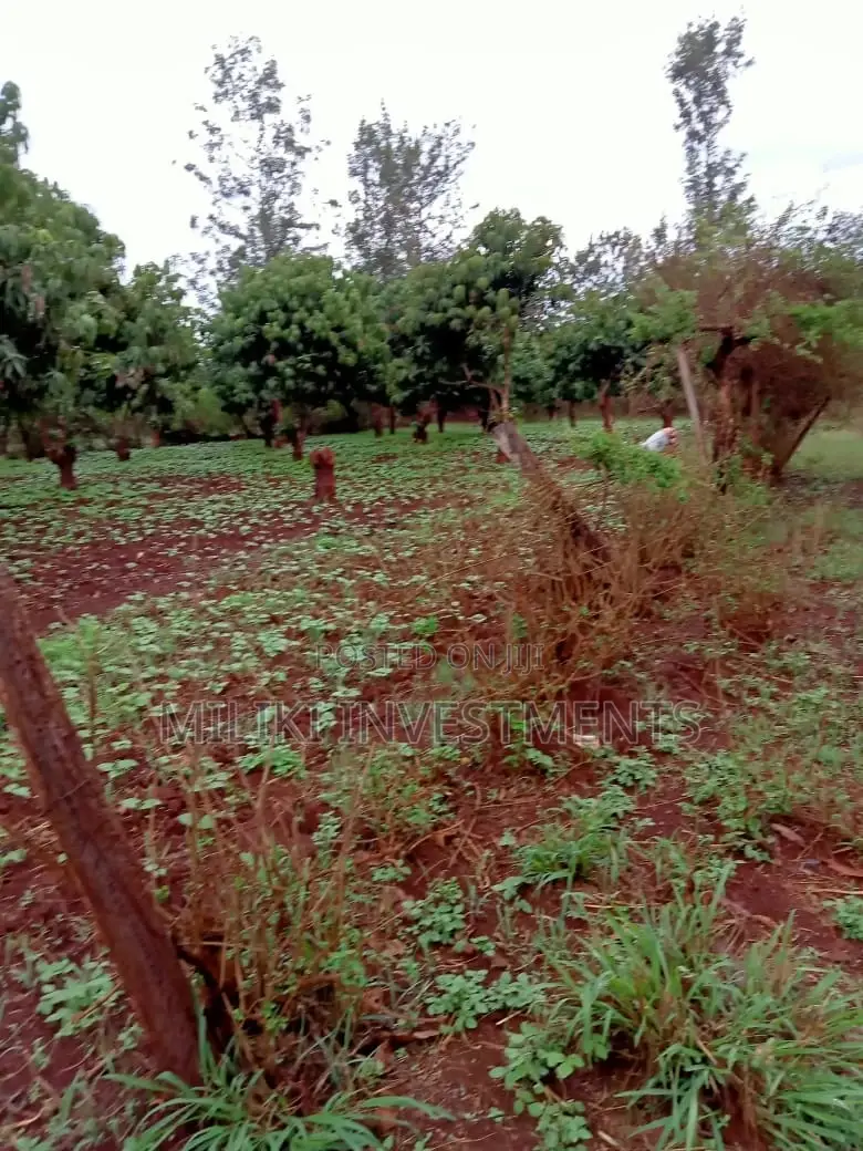 4 Acres on Sale at Mbombo