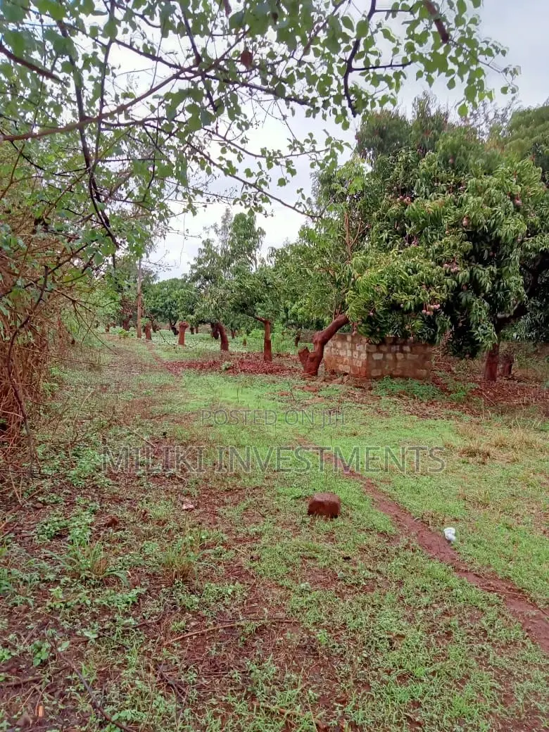 4 Acres on Sale at Mbombo