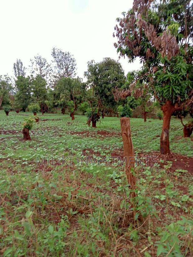 4 Acres on Sale at Mbombo - thumbnail 11