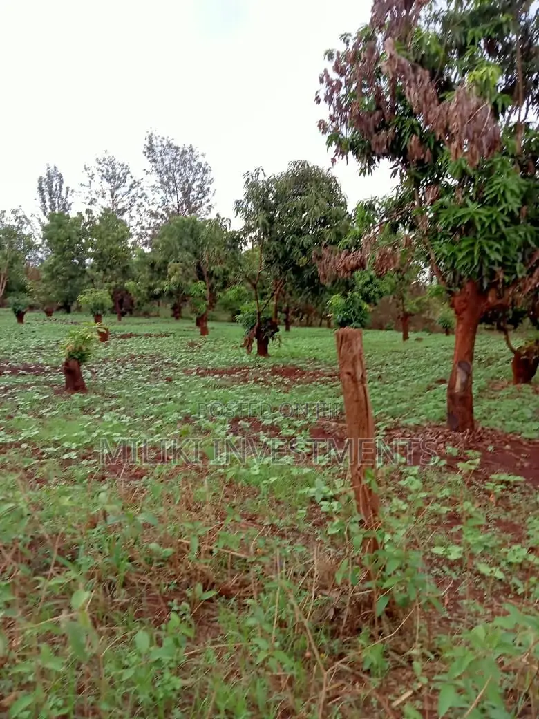 4 Acres on Sale at Mbombo