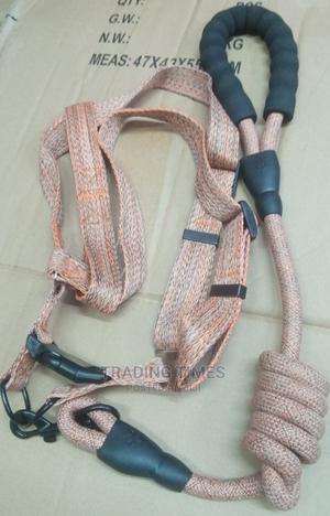 High Quality Dog Leashes( Medium Size) - thumbnail 2