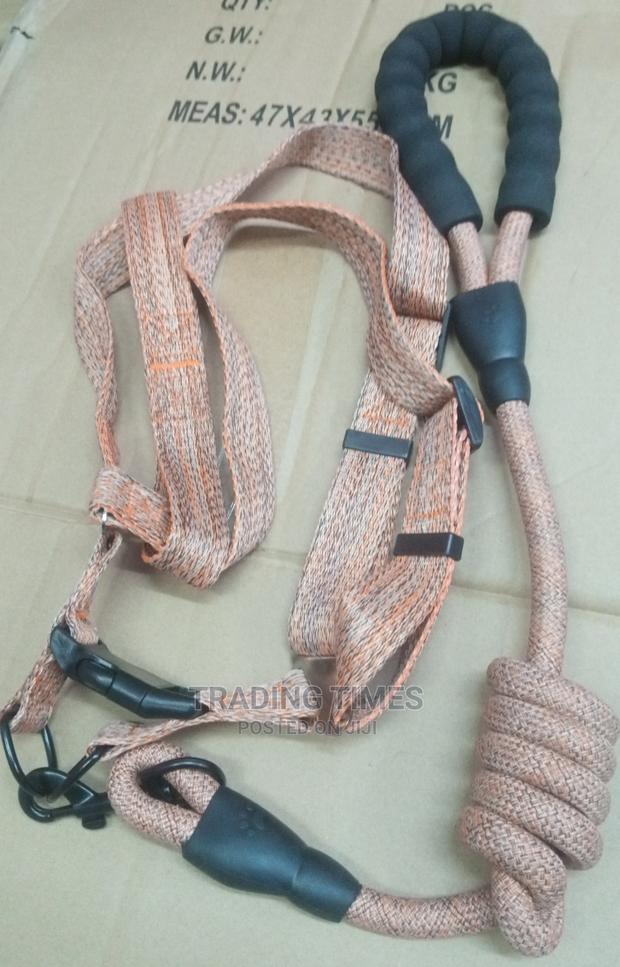 High Quality Dog Leashes( Medium Size) - main view