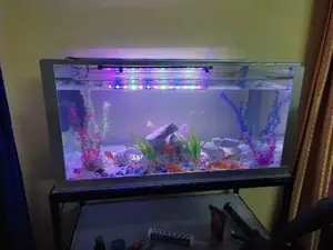 Aquarium Make Over and Set Up