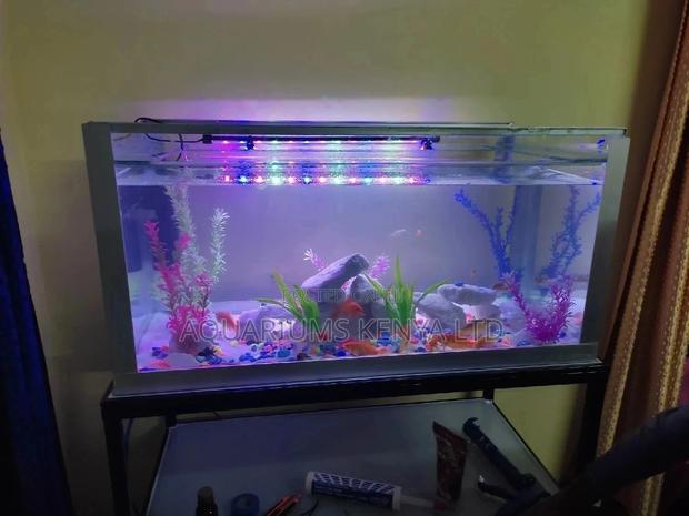 Aquarium Make Over and Set Up