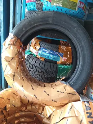 205/55r16 Aptany Tyre