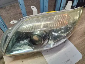 Fielder 2007 Xenon Headlights