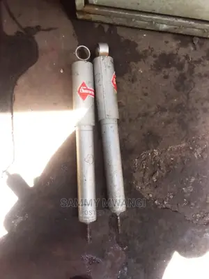 Toyota Rear Shocks