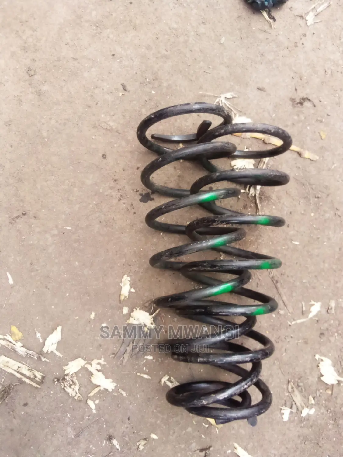 V8 Rear Springs