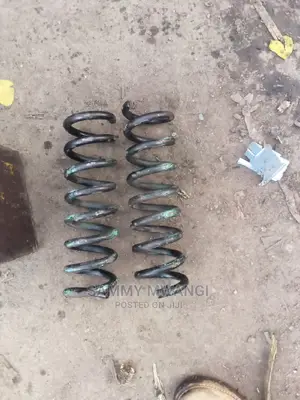Merceedez Heavy Duty Springs