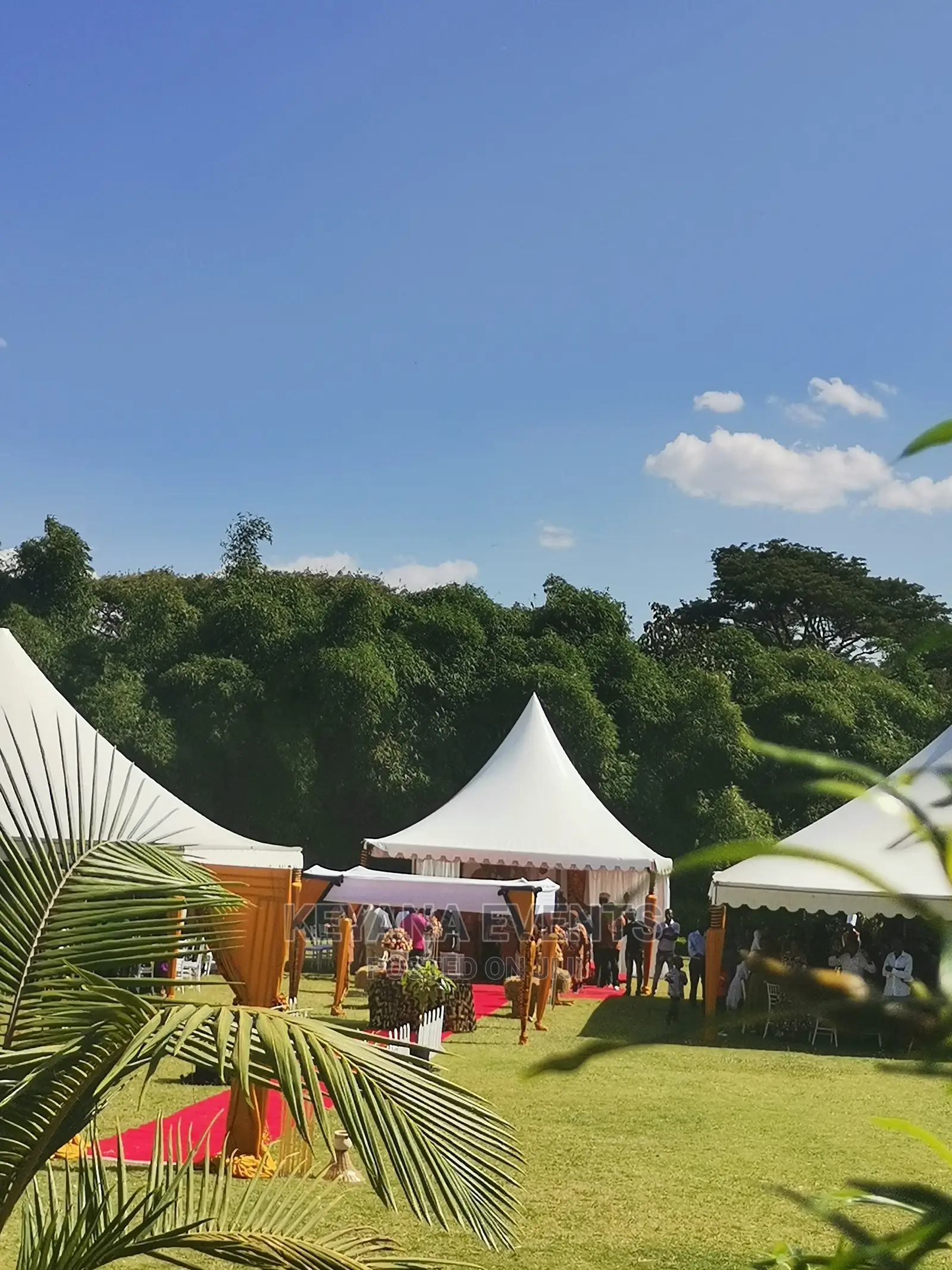 Event Planner in Kenya, Event Organizer