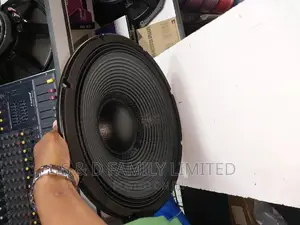 RCF 15 Inch Naked Speaker