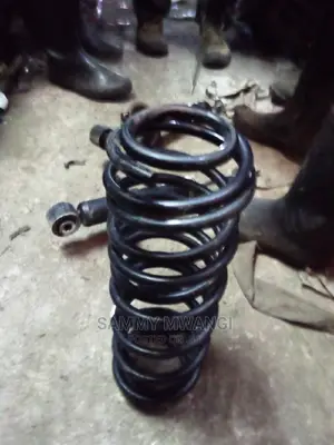 Toyota Vitz Rear Springs