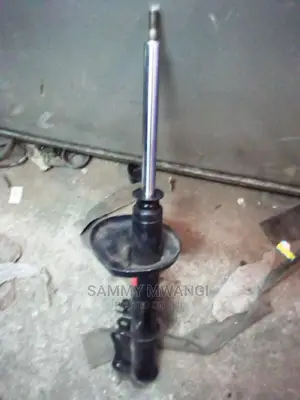 Toyota 110 Rear Shocks