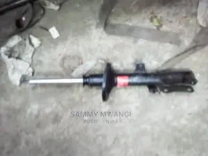 Toyota 110 Rear Shocks