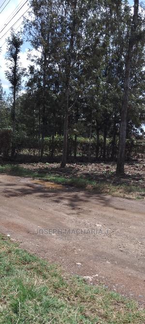 Plot Kamiti Road Mugumo Estate - thumbnail 2