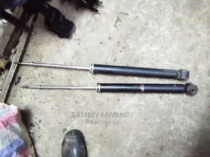 Toyota Ractis Rear Shocks