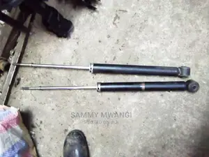 Toyota Ractis Rear Shocks